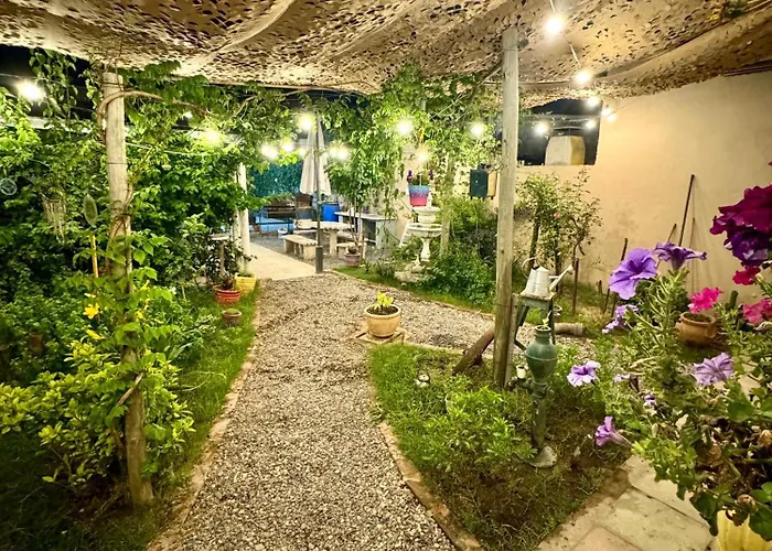 La Violeta Due